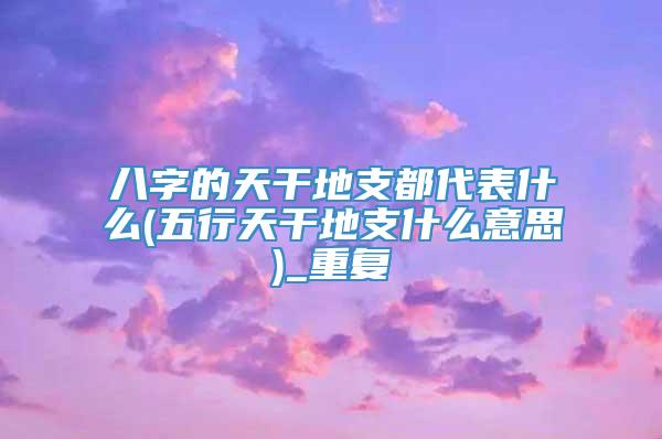 八字的天干地支都代表什么(五行天干地支什么意思)_重复