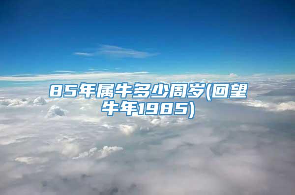 85年属牛多少周岁(回望牛年1985)