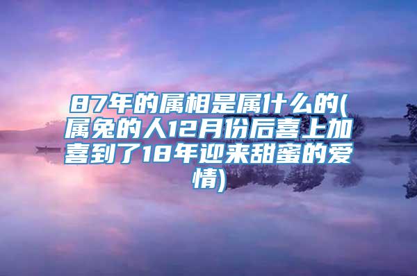 87年的属相是属什么的(属兔的人12月份后喜上加喜到了18年迎来甜蜜的爱情)