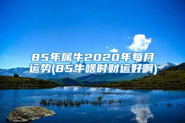 85年属牛2020年每月运势(85牛啥时财运好啊)