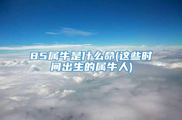 85属牛是什么命(这些时间出生的属牛人)