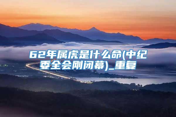 62年属虎是什么命(中纪委全会刚闭幕)_重复