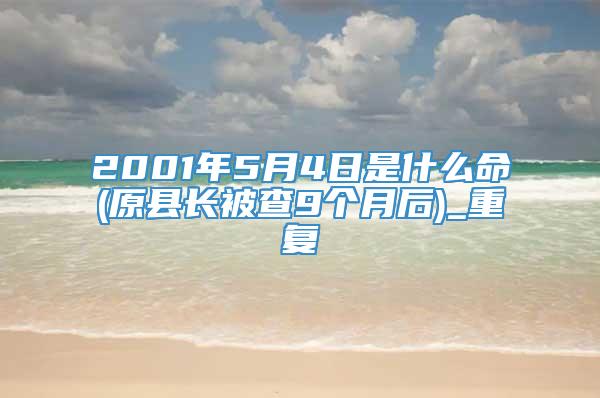 2001年5月4日是什么命(原县长被查9个月后)_重复