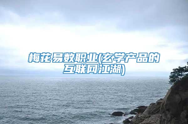 梅花易数职业(玄学产品的互联网江湖)