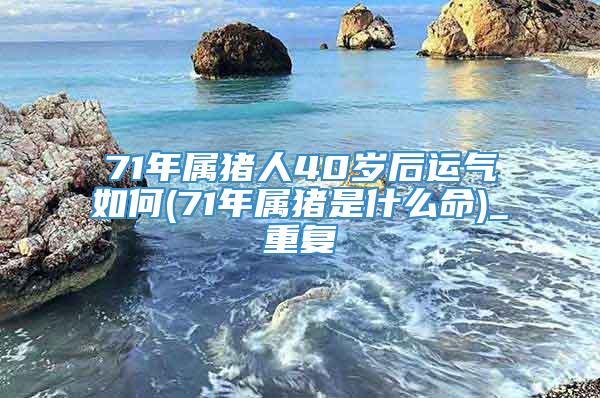 71年属猪人40岁后运气如何(71年属猪是什么命)_重复