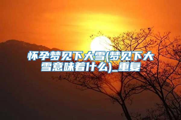 怀孕梦见下大雪(梦见下大雪意味着什么)_重复
