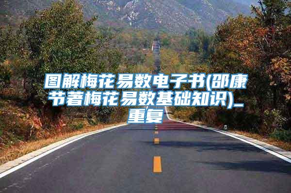 图解梅花易数电子书(邵康节著梅花易数基础知识)_重复