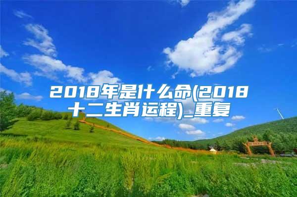 2018年是什么命(2018十二生肖运程)_重复