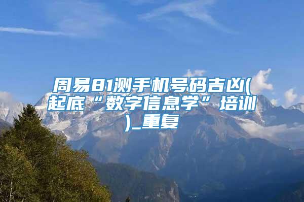 周易81测手机号码吉凶(起底“数字信息学”培训)_重复