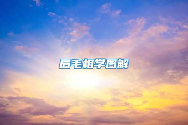 眉毛相学图解