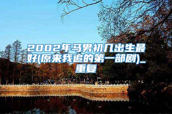 2002年马男初几出生最好(原来我追的第一部剧)_重复