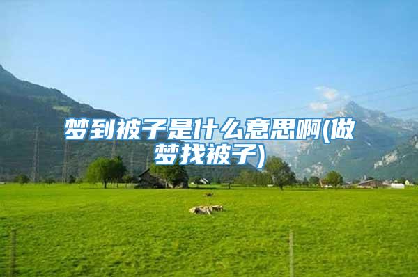 梦到被子是什么意思啊(做梦找被子)