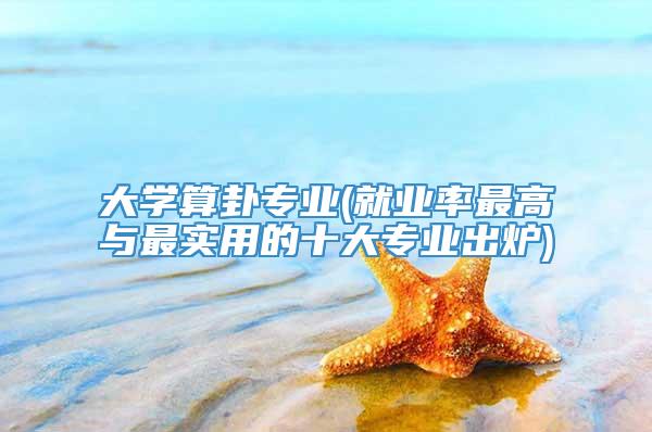 大学算卦专业(就业率最高与最实用的十大专业出炉)