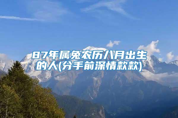 87年属兔农历八月出生的人(分手前深情款款)