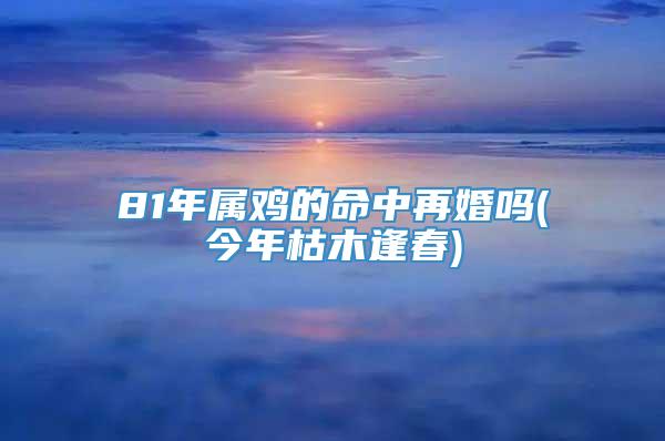 81年属鸡的命中再婚吗(今年枯木逢春)