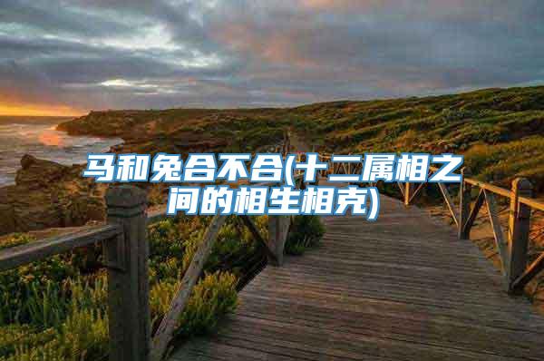 马和兔合不合(十二属相之间的相生相克)
