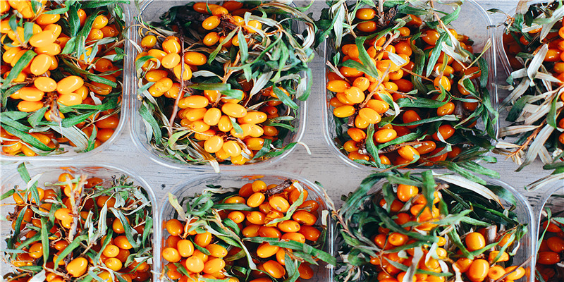 7月28日出生的人明星(44岁苏提达风头正盛)