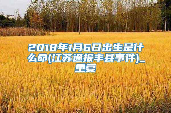 2018年1月6日出生是什么命(江苏通报丰县事件)_重复