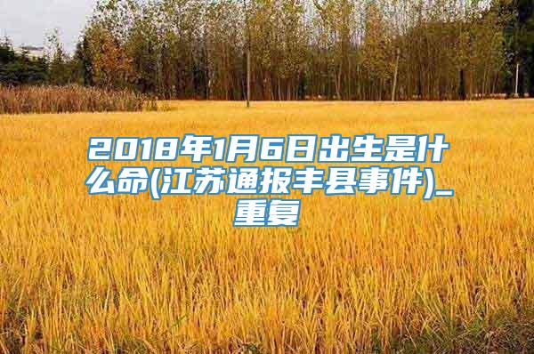 2018年1月6日出生是什么命(江苏通报丰县事件)_重复