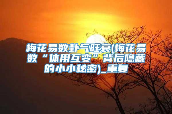 梅花易数卦气旺衰(梅花易数“体用互变”背后隐藏的小小秘密)_重复