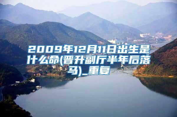 2009年12月11日出生是什么命(晋升副厅半年后落马)_重复