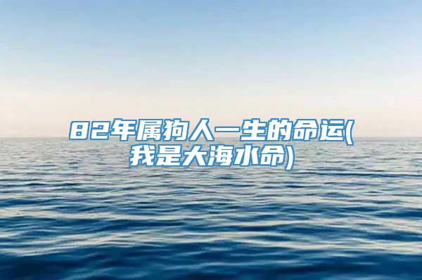 82年属狗人一生的命运(我是大海水命)