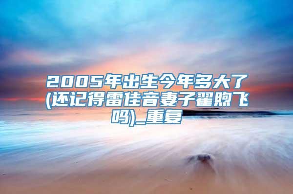 2005年出生今年多大了(还记得雷佳音妻子翟煦飞吗)_重复