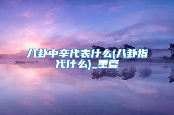 八卦中辛代表什么(八卦指代什么)_重复