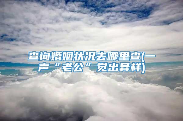 查询婚姻状况去哪里查(一声“老公”觉出异样)