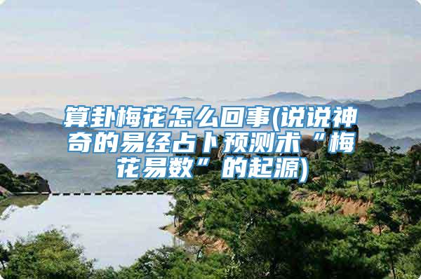 算卦梅花怎么回事(说说神奇的易经占卜预测术“梅花易数”的起源)
