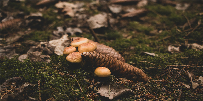 6月2日出生的人命运(你的生日是哪首诗)