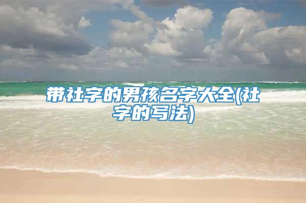 带社字的男孩名字大全(社字的写法)