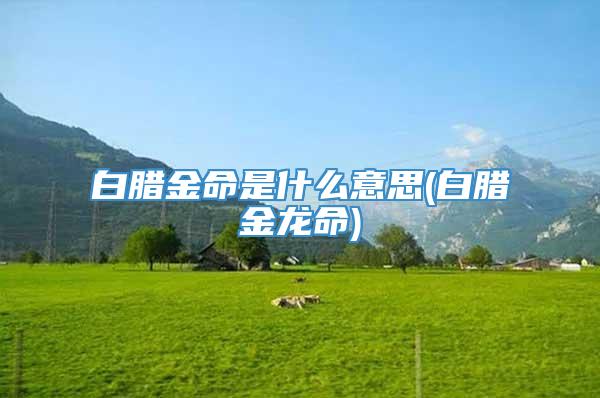白腊金命是什么意思(白腊金龙命)
