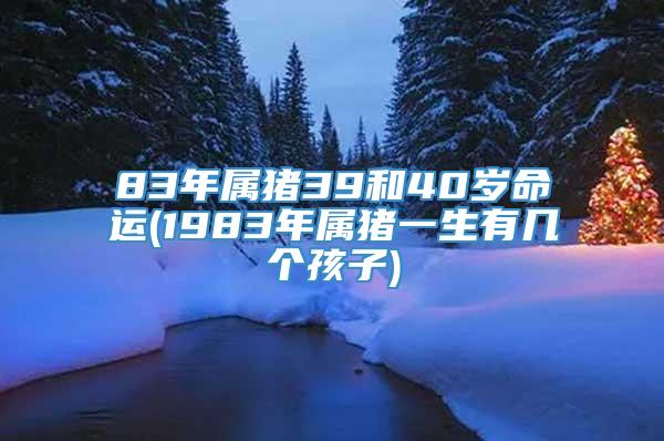 83年属猪39和40岁命运(1983年属猪一生有几个孩子)