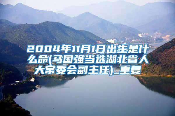 2004年11月1日出生是什么命(马国强当选湖北省人大常委会副主任)_重复