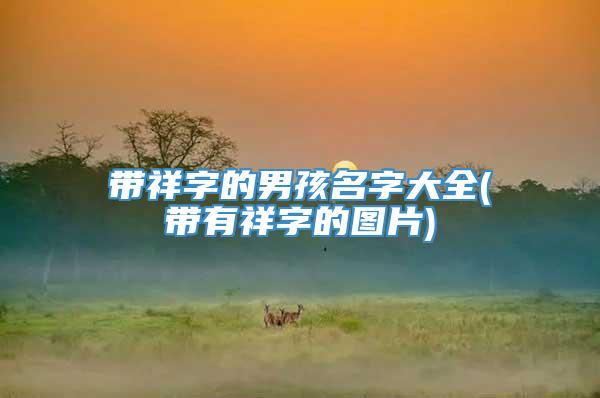 带祥字的男孩名字大全(带有祥字的图片)