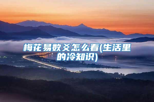 梅花易数爻怎么看(生活里的冷知识)