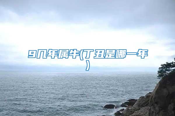 9几年属牛(丁丑是哪一年)