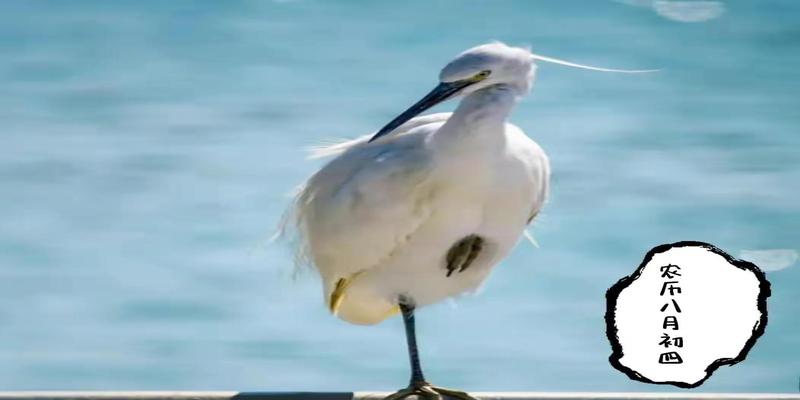 每日运势播报(2021.09.10)