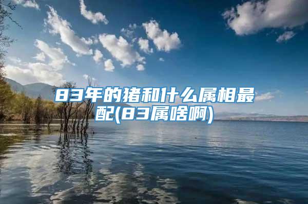 83年的猪和什么属相最配(83属啥啊)