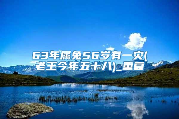 63年属兔56岁有一灾(老王今年五十八)_重复