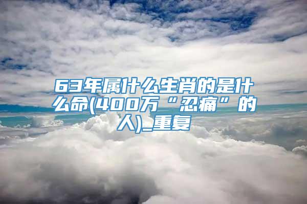 63年属什么生肖的是什么命(400万“忍痛”的人)_重复