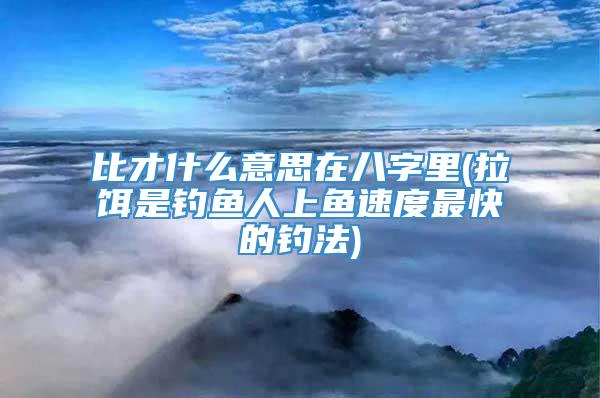 比才什么意思在八字里(拉饵是钓鱼人上鱼速度最快的钓法)