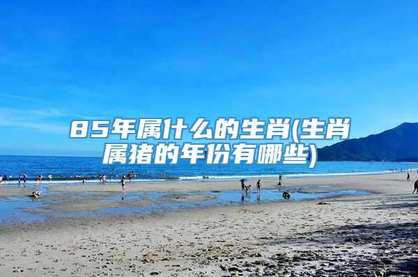 85年属什么的生肖(生肖属猪的年份有哪些)