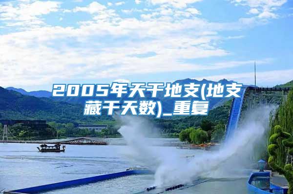 2005年天干地支(地支藏干天数)_重复