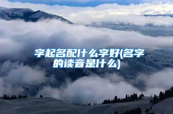 宬字起名配什么字好(名字的读音是什么)