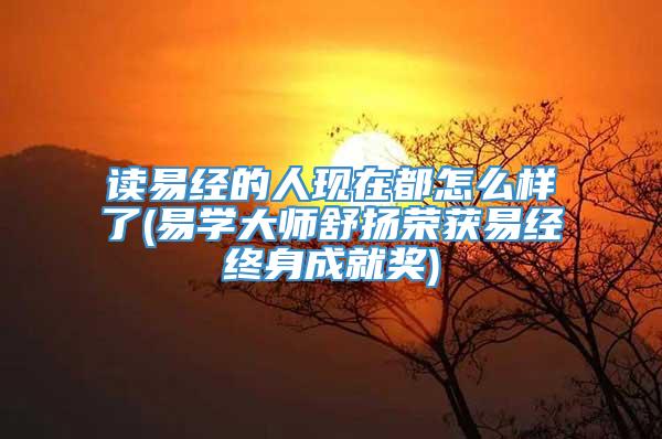 读易经的人现在都怎么样了(易学大师舒扬荣获易经终身成就奖)