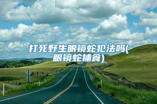 打死野生眼镜蛇犯法吗(眼镜蛇捕食)