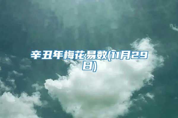 辛丑年梅花易数(11月29日)