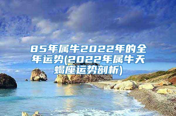 85年属牛2022年的全年运势(2022年属牛天蝎座运势剖析)